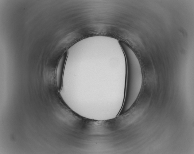 X0000111780092200908201119