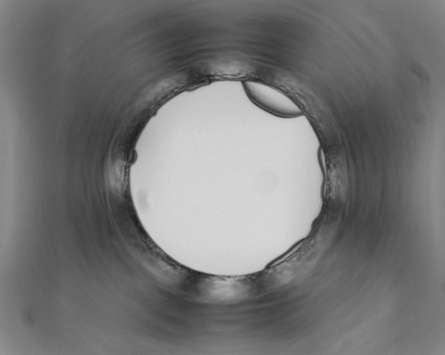 X0000111780093200908201119