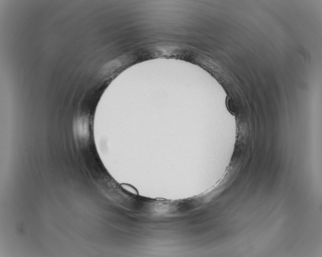 X0000111780094200908201119