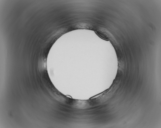 X0000111780095200908201119