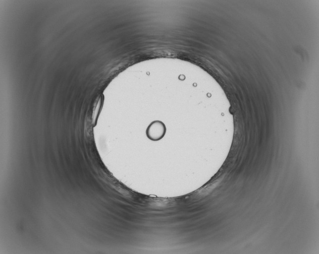 X0000111780096200908201119