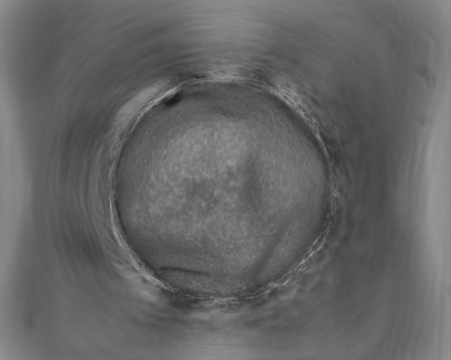 X0000111780097200908201118