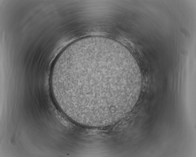 X0000111780098200908201118