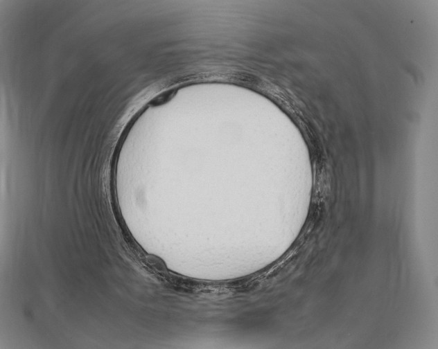 X0000111780099200908201118