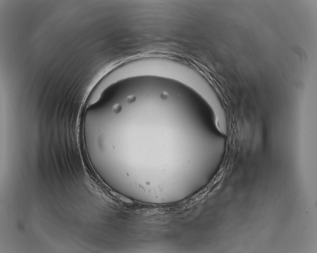 X0000111780100200908201118