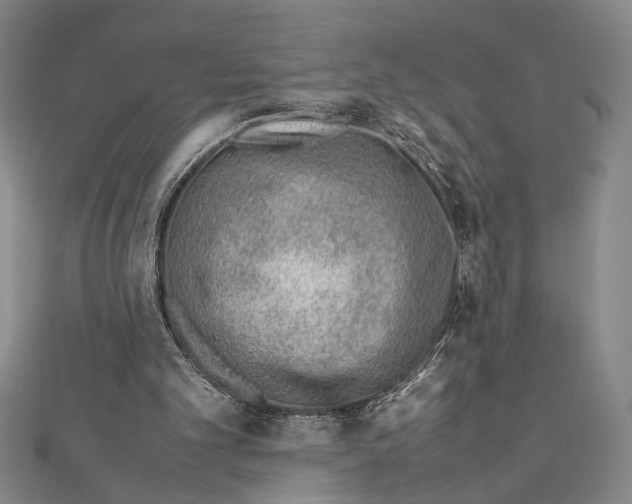 X0000111780101200908201118