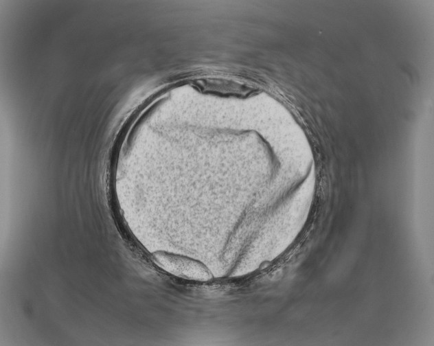 X0000111780103200908201118