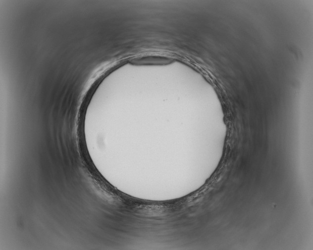 X0000111780104200908201118