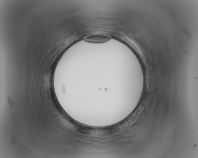 X0000111780105200908201118