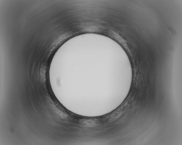 X0000111780106200908201118