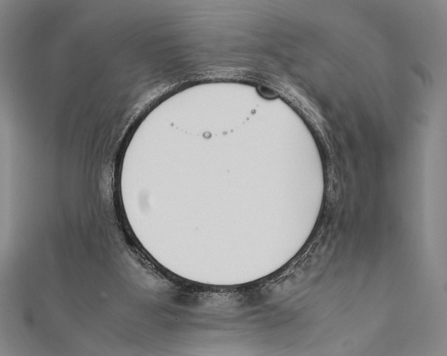 X0000111780107200908201118
