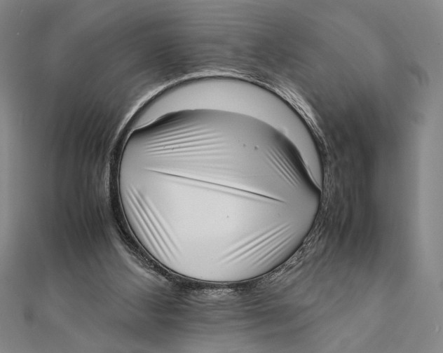 X0000111780108200908201118
