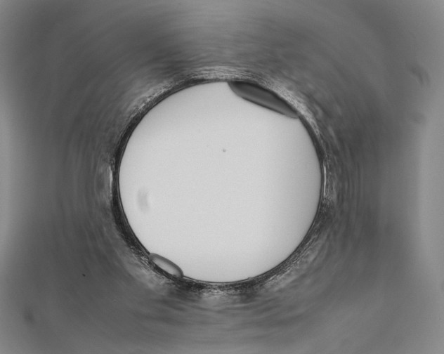 X0000111780109200908201118