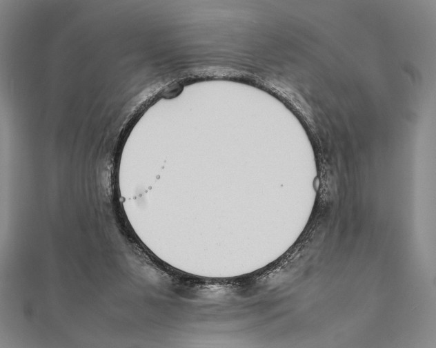 X0000111780111200908201118