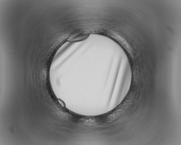 X0000111780113200908201118