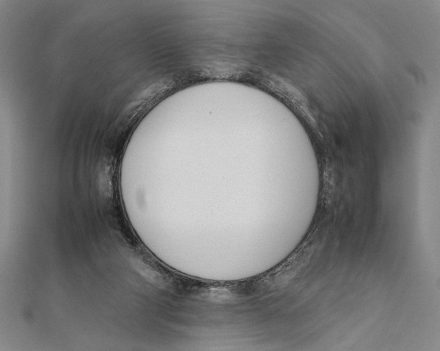 X0000111780114200908201118