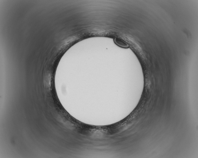 X0000111780115200908201118