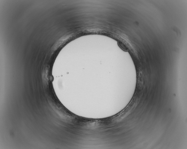 X0000111780116200908201118