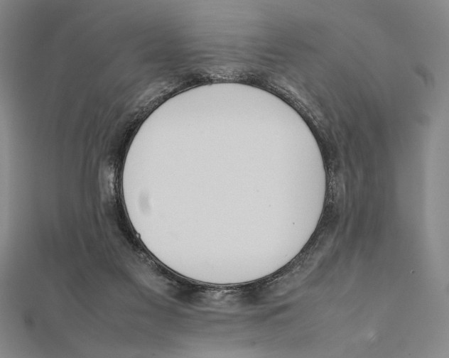 X0000111780117200908201118