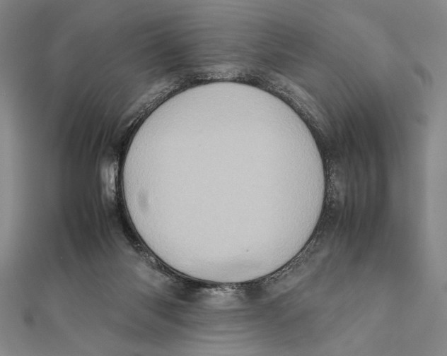 X0000111780118200908201118
