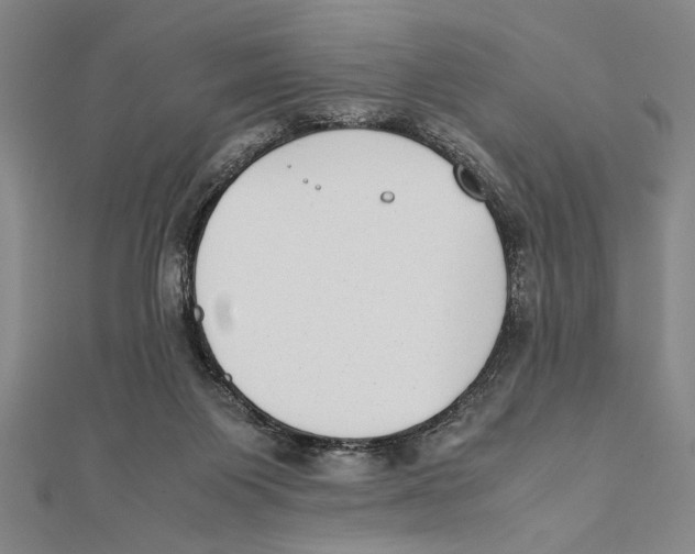 X0000111780119200908201118