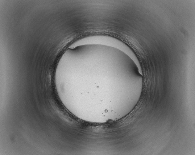 X0000111780120200908201118