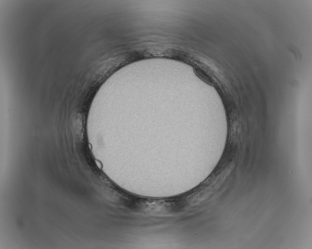 X0000111780121200908201118