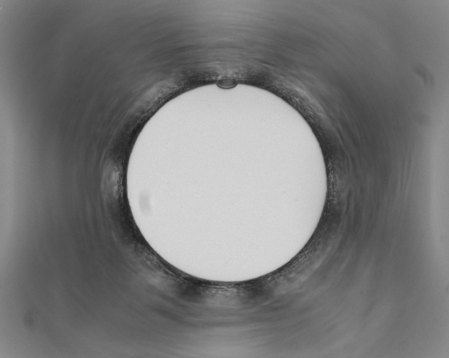X0000111780123200908201118