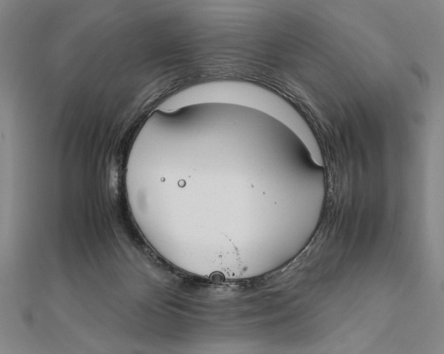 X0000111780124200908201118