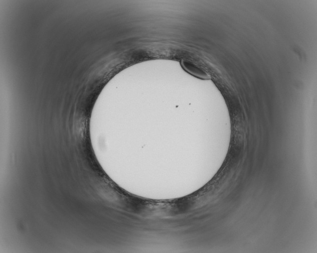 X0000111780125200908201118