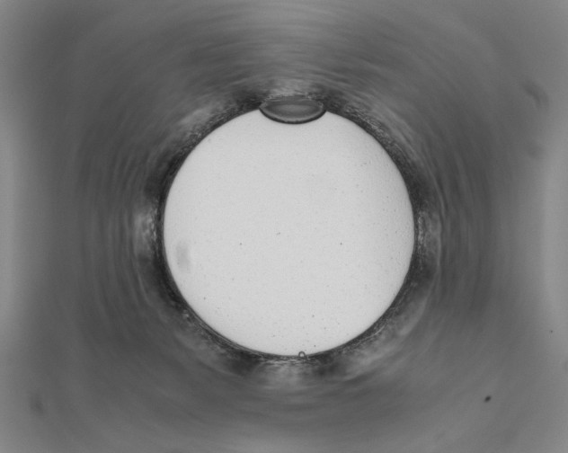 X0000111780127200908201118