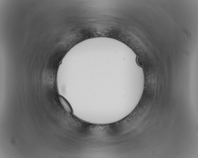 X0000111780129200908201118