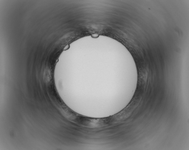 X0000111780130200908201118