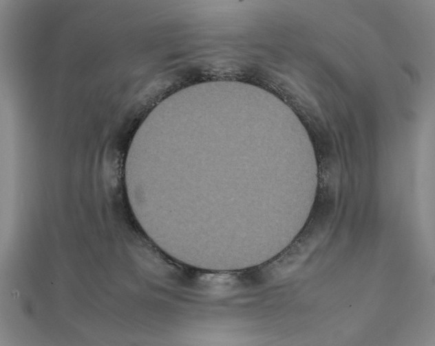 X0000111780133200908201118