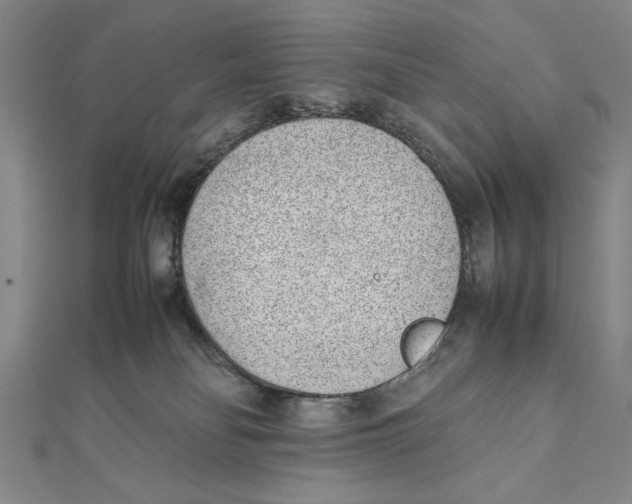 X0000111780134200908201118