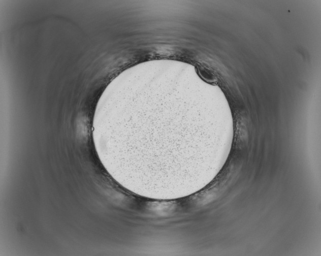 X0000111780135200908201118