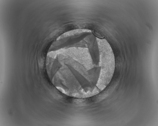 X0000111780139200908201118