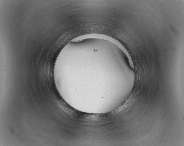 X0000111780140200908201118