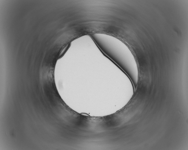 X0000111780141200908201118