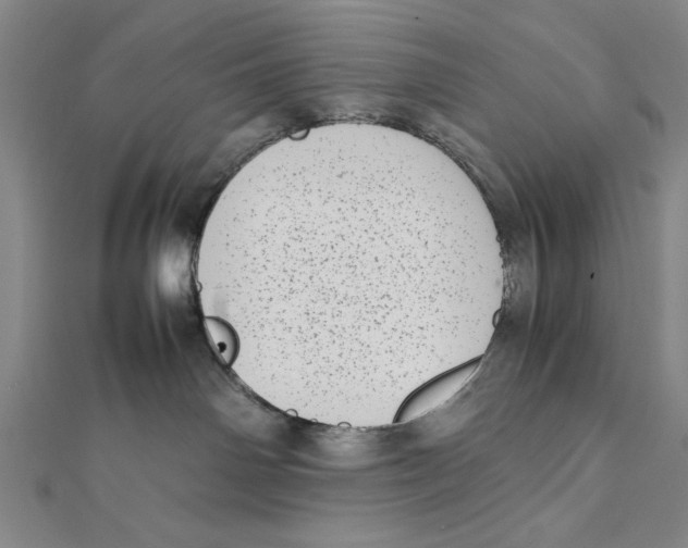 X0000111780142200908201118