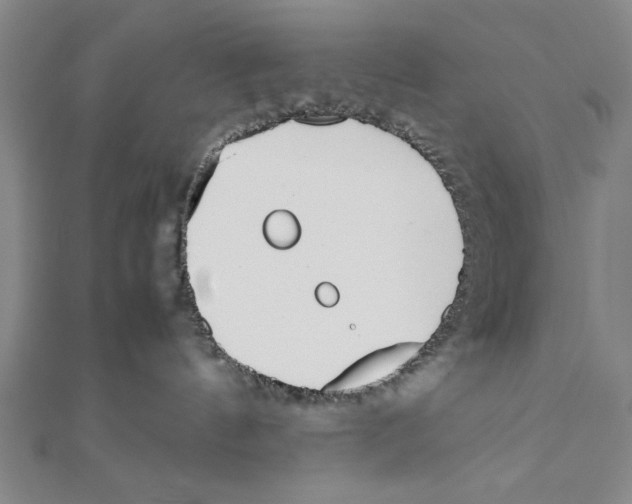 X0000111780144200908201117