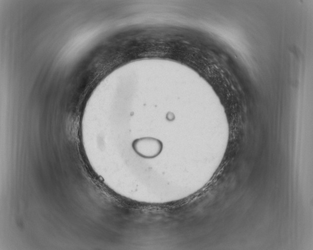X0000111780146200908201117