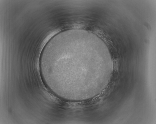 X0000111780147200908201117