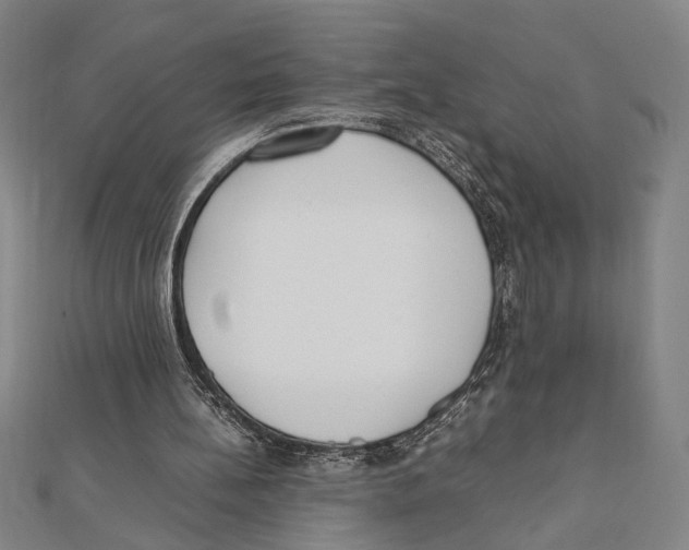 X0000111780148200908201117