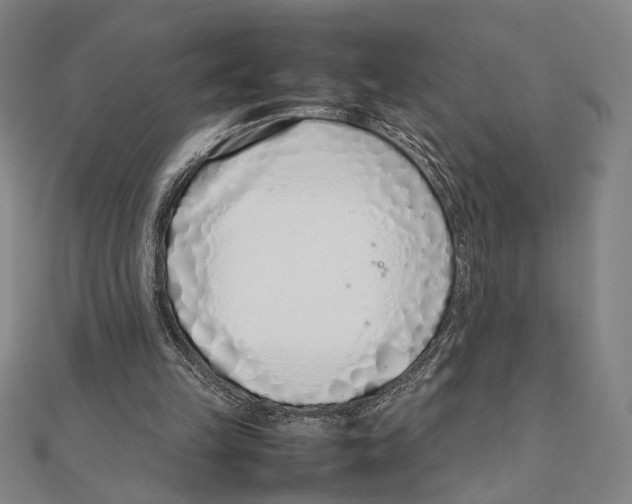 X0000111780149200908201117