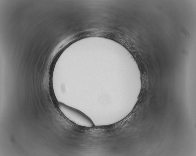X0000111780150200908201117