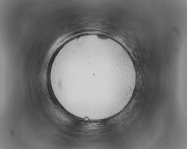 X0000111780151200908201117