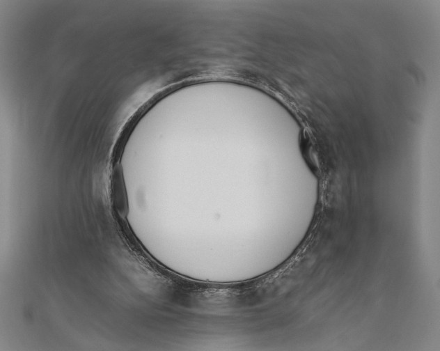 X0000111780152200908201117