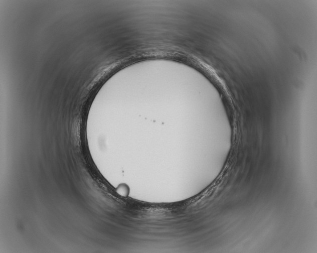 X0000111780154200908201117