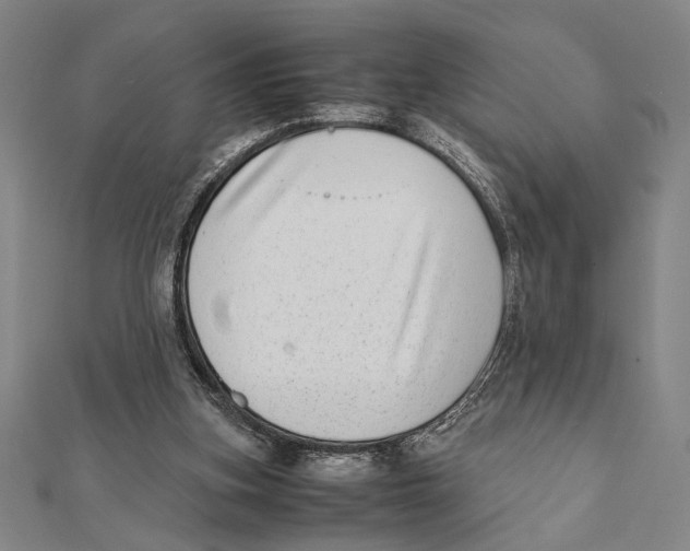 X0000111780155200908201117